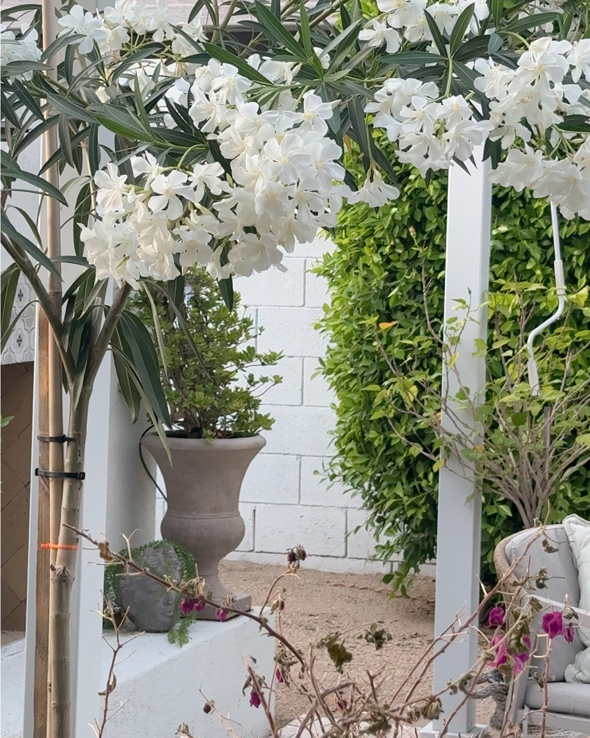 Outdoor shade structure patio pergola rain tight has louvered to adjust lighting white or bronze easy to put together 

#LTKSwim #LTKSeasonal #LTKHome