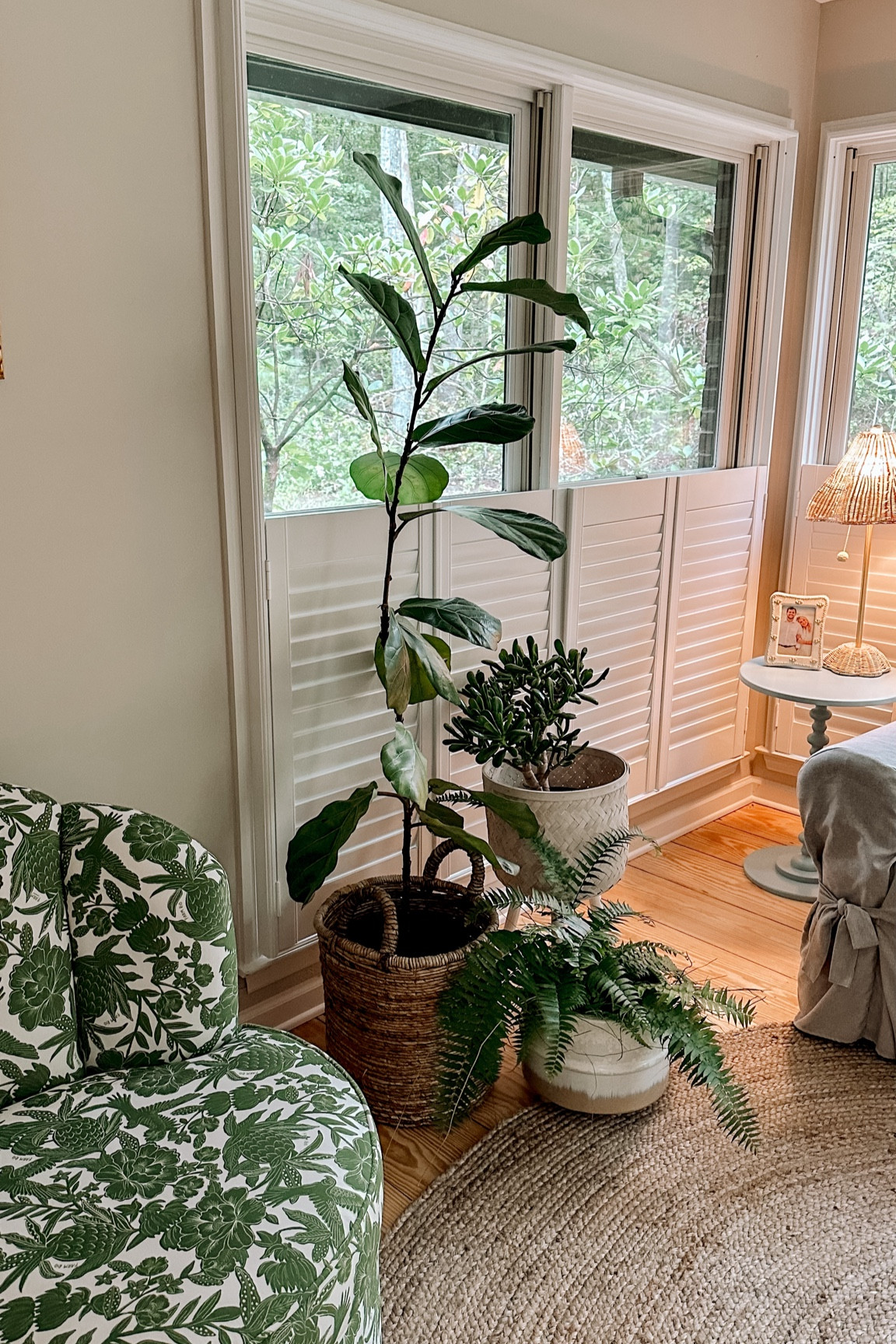 the most fun sunroom!! Lots of green makes me 😄😄😄

#LTKSeasonal #LTKFindsUnder100 #LTKHome