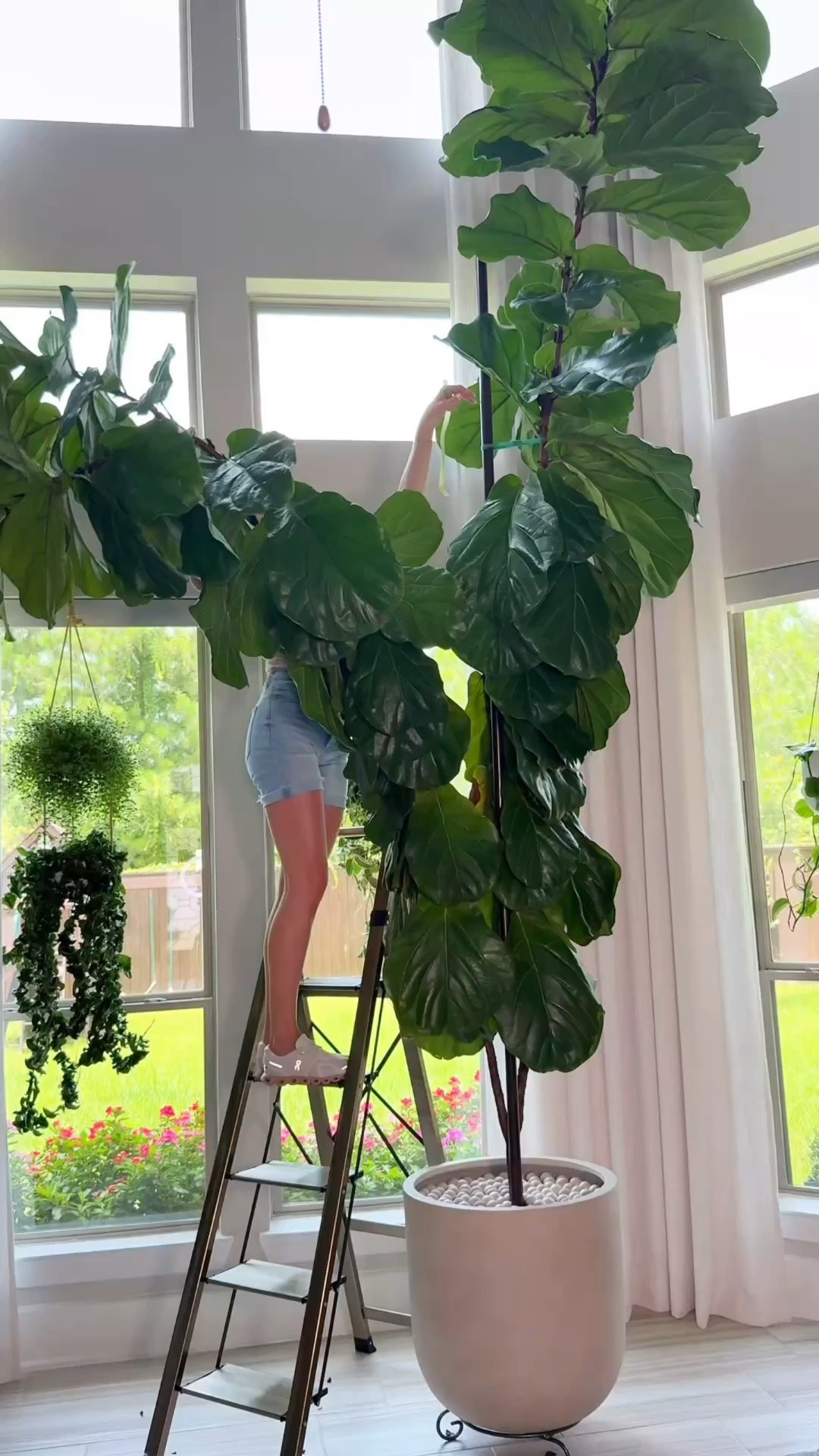 A little pruning can completely change the shape of your fiddle leaf fig.

Whether you pinch the newest growth or make a clean cut above a node, you’re encouraging the plant to develop a fuller canopy over time.

Don’t expect overnight results. New branches take time, but the wait is worth it.

Have you ever tried this on your fiddle leaf fig?

fiddle leaf fig branching | how to make a fiddle leaf fig bushier | fiddle leaf fig pruning | fiddle leaf fig care | indoor plant tips

#fiddleleaffig #fiddleleaffigcare #houseplants #plantcare #indoorplants #planttips #houseplantclub #plantlover #planttok #urbanjungle

#LTKHome #LTKOver40 #LTKBeauty