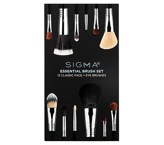Sigma Essential Brush Set - QVC.com | QVC