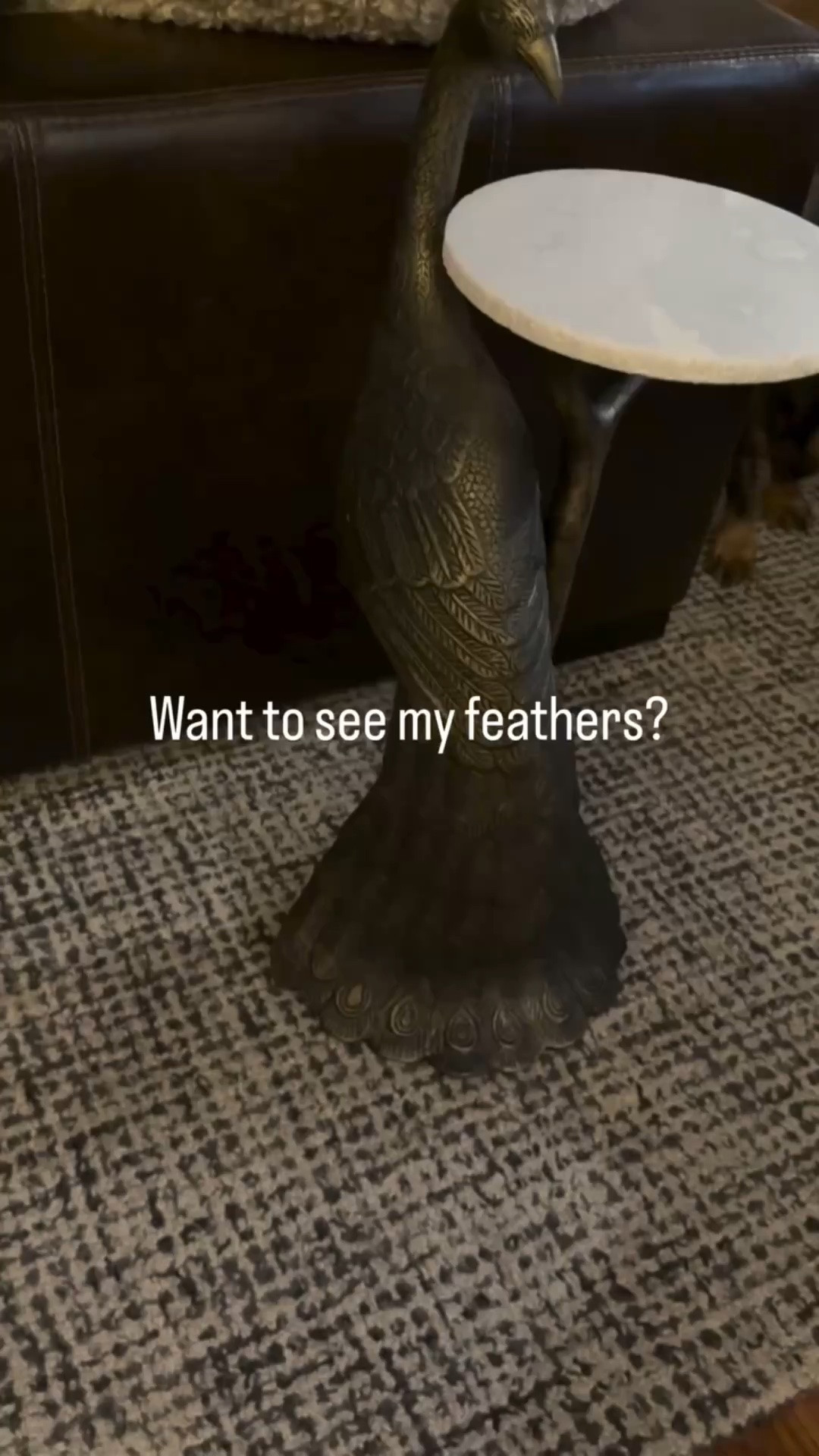 Everyone asks where I got this cocktail table.
I mean, it’s a peacock!
Gorgeous lines. Subtle yet eccentric.
Classic in its own way.
Want a conversation piece?  This is it.

#peacock #cocktailtable #peacocktail #conversationpiece #marbletop

#LTKHome