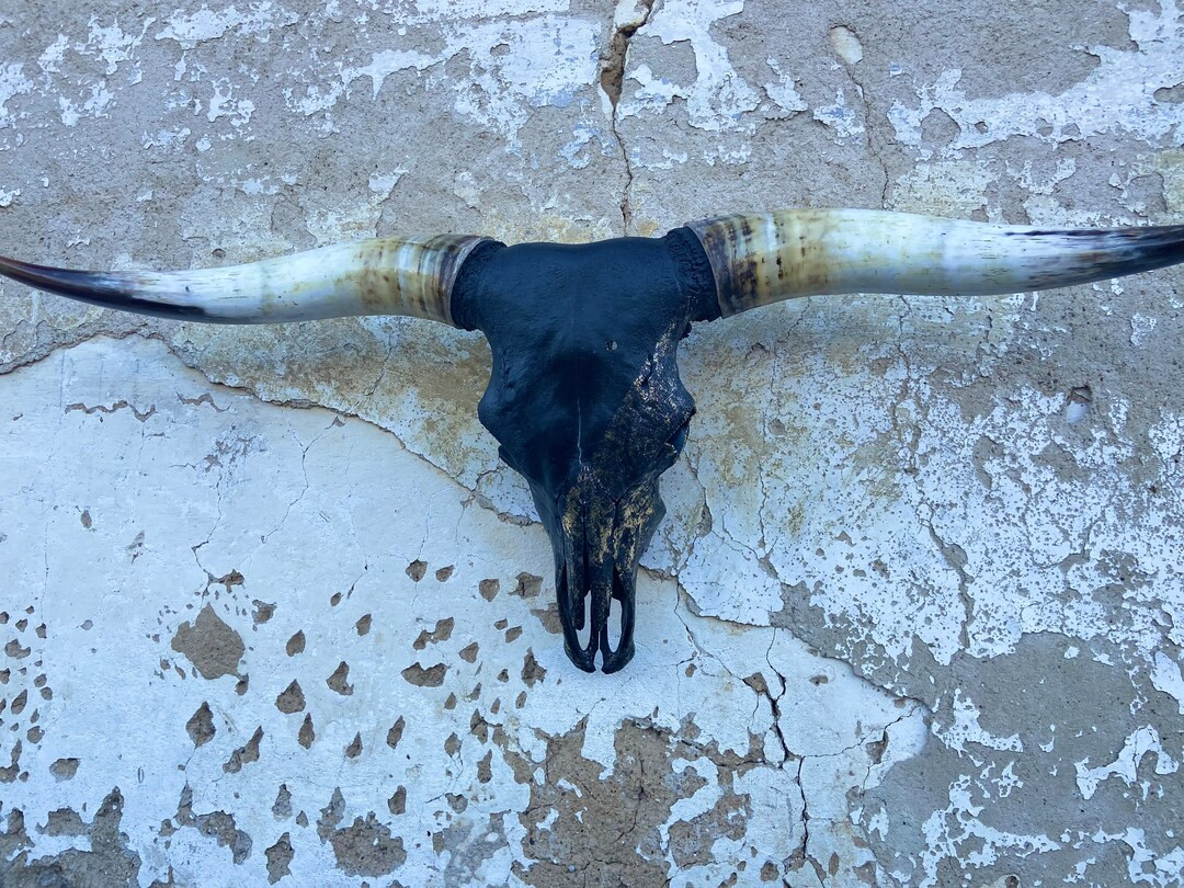 Texas Longhorn Skull Walldeco - Etsy | Etsy (US)