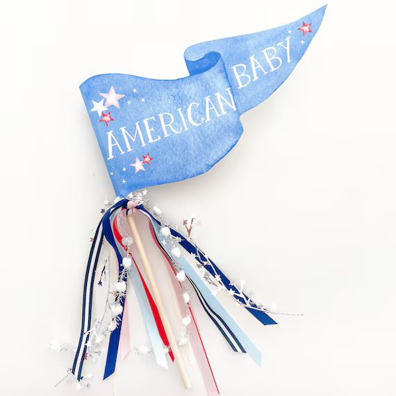 American Baby Party Pennant | July 4th Pennant | 4th of July Party Pennant | 4th of July Party De... | Etsy (US)