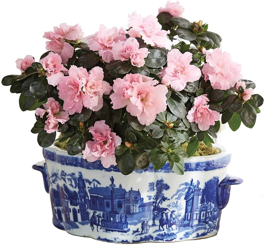 Winward Blue & White Porcelain Oval Scenic Planter | Amazon (US)