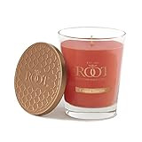 Amazon.com: Root Candles Made in The USA Long-Lasting Beeswax Blend Scented Candle, Large Verigla... | Amazon (US)