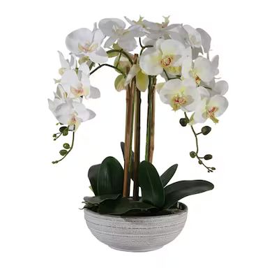 allen + roth 22-in White Indoor Artificial Orchid Flowers Lowes.com | Lowe's