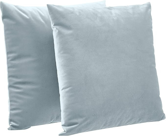 Amazon Basics 2-Pack Velvet Fleece Decorative Throw Pillows - 18" Square, Light Blue | Amazon (US)