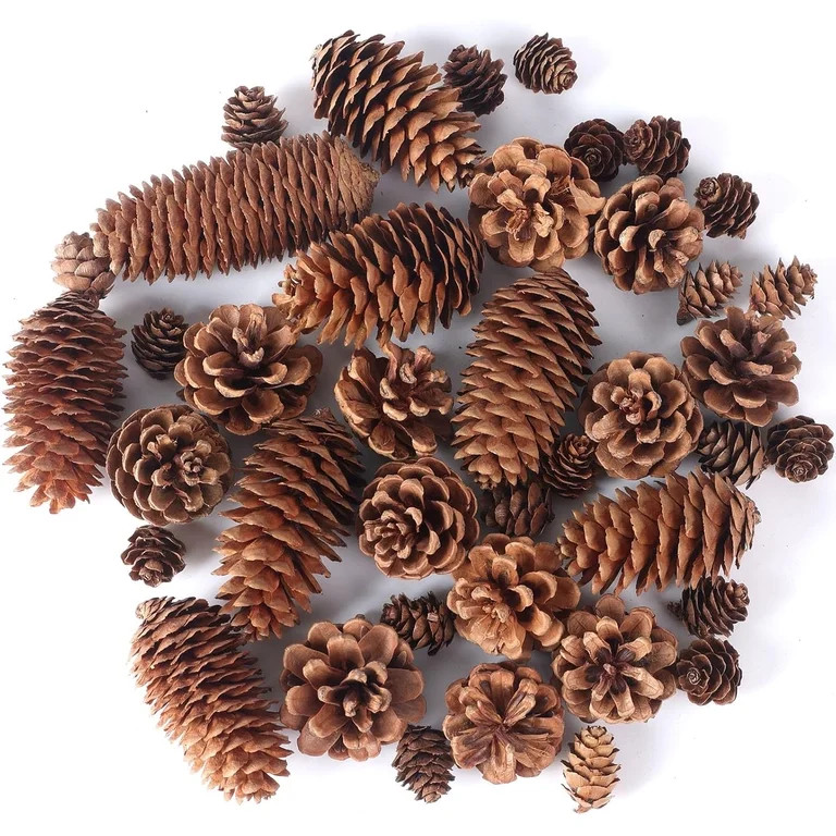 40 Pack Pine Cones 0.78" - 3.51" Real All Natural Pinecones in Bulk (Unscented) Various Size - Pe... | Walmart (US)