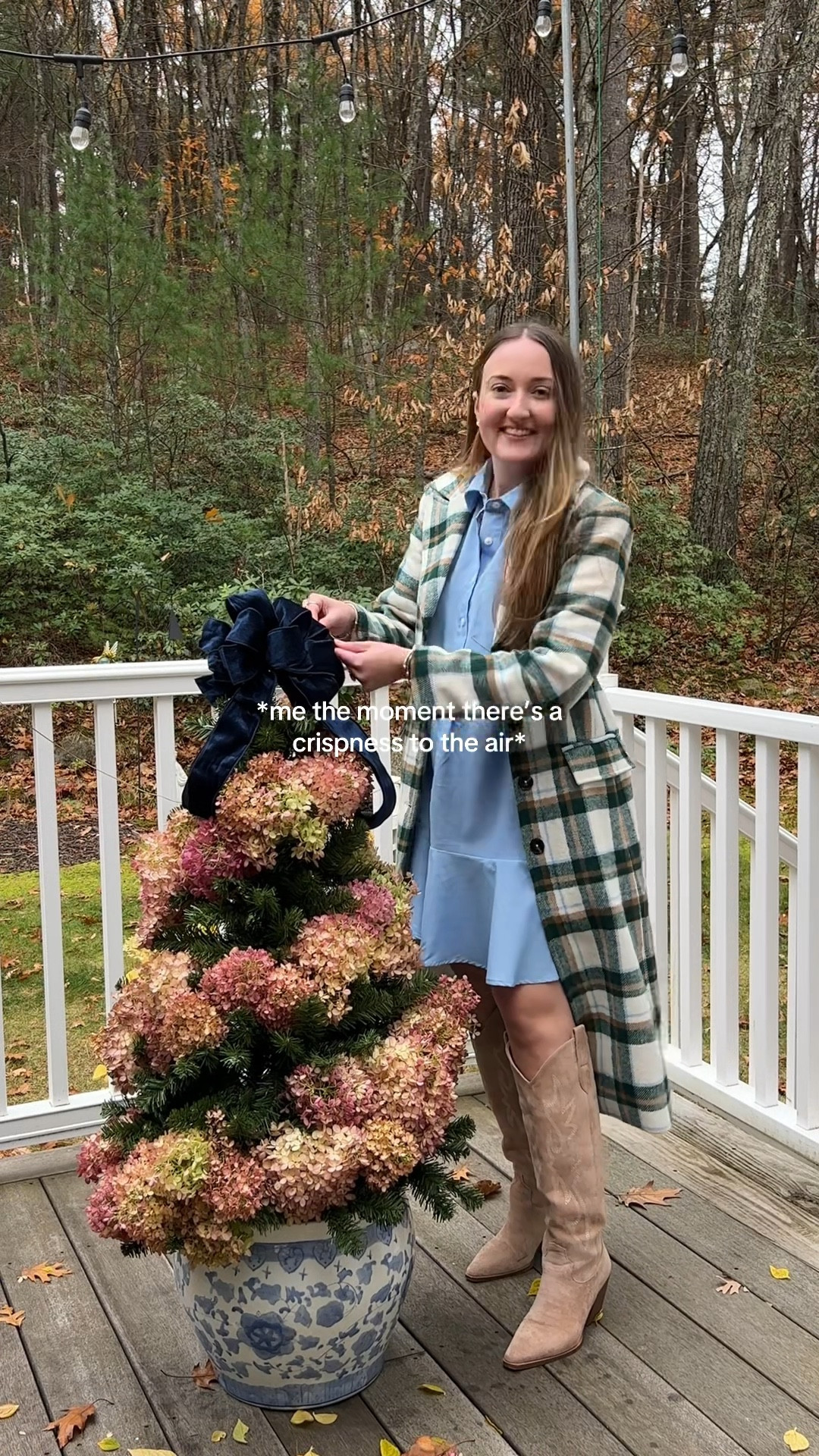 Hydrangea Christmas tree, New England style, Ralph Lauren Christmas

#LTKHome #LTKSaleAlert #LTKHoliday
