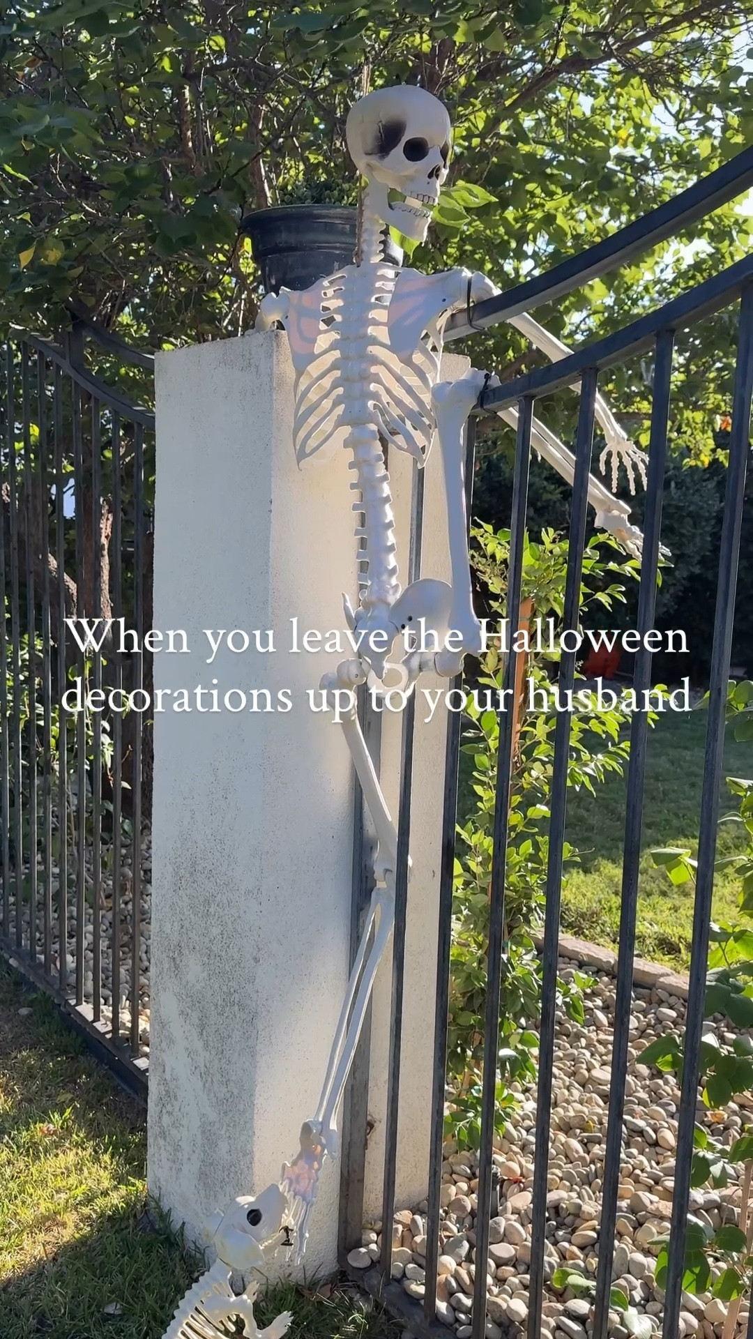 Halloween Fun 💀 🎃 

#LTKSeasonal #LTKHome