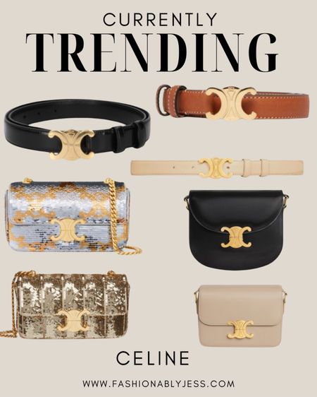 Currently loving all of these cute belts and accessories from Celine! Gift for her 

#LTKGiftGuide #LTKstyletip #LTKover40
