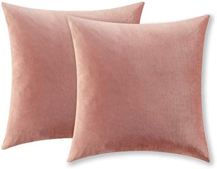 COMFORTLAND 2 Pack Decorative Throw Pillow Covers, Square Soft Luxury Velvet Cushion Covers, 20x2... | Amazon (US)
