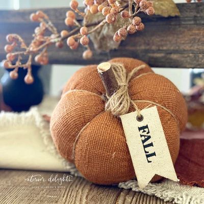 Rust or Cream Pumpkin-Sold Separately | Interior Delights