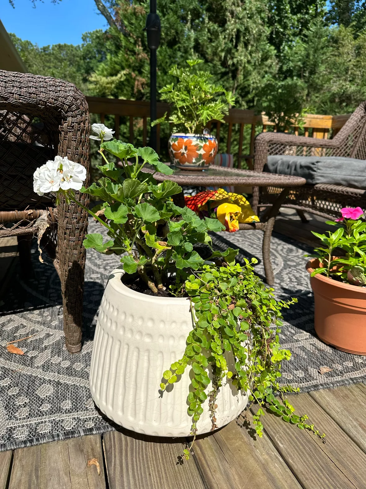 3 Potted Plant Arrangement Ideas for a Gorgeous Patio Garden