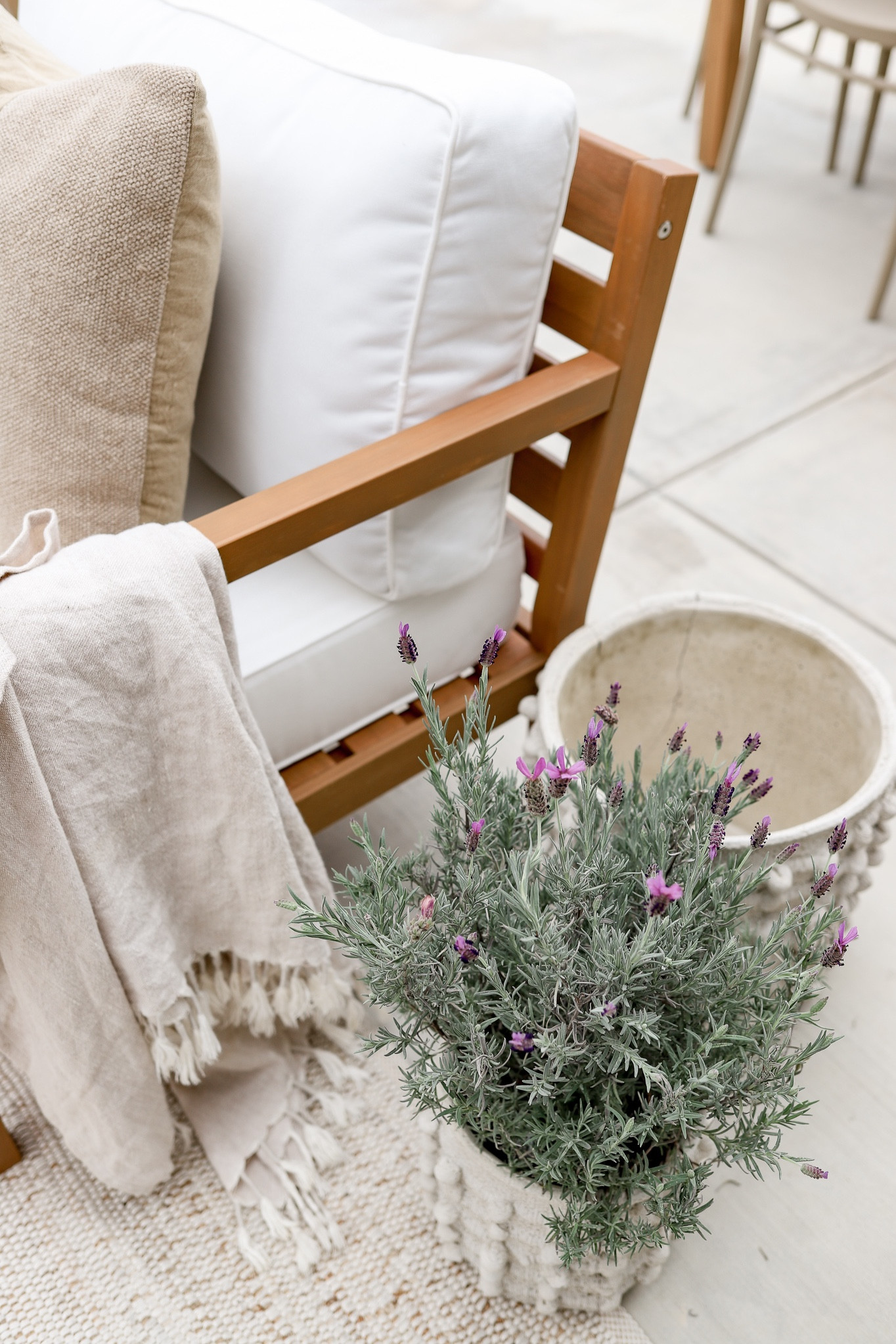 This 2-piece outdoor pot planters adds so much texture to our patio. I love how the cement resembles a favorite knitted sweater.

#backyard #outdoordecor #patiodecor #gardening #florals

#LTKFind #LTKSeasonal #LTKhome