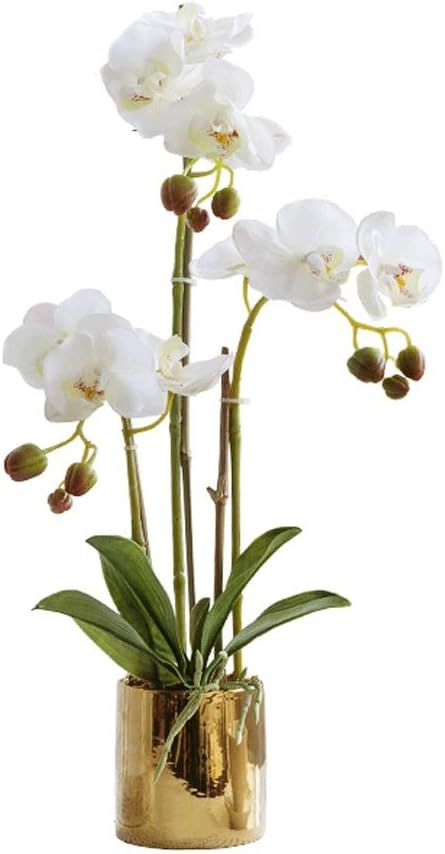 yaya Combination Simulation Flower Phalaenopsis Potted Silk Fake Flower Home Decoration Living Ro... | Amazon (US)