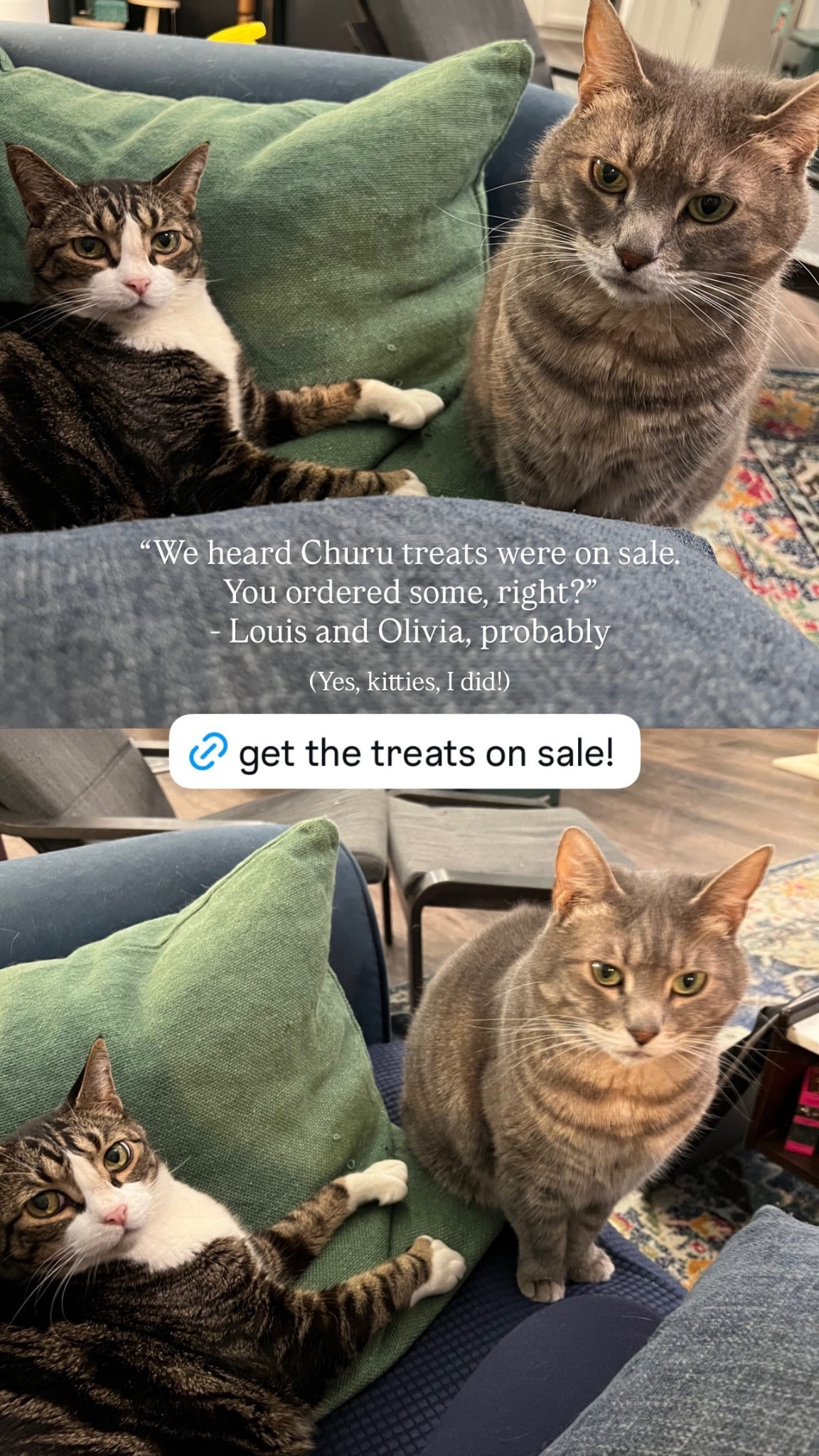 My cats’ favorite treats are currently on sale! We stocked up 😻🎉🐾

#LTKPets #LTKSaleAlert #LTKFindsUnder50