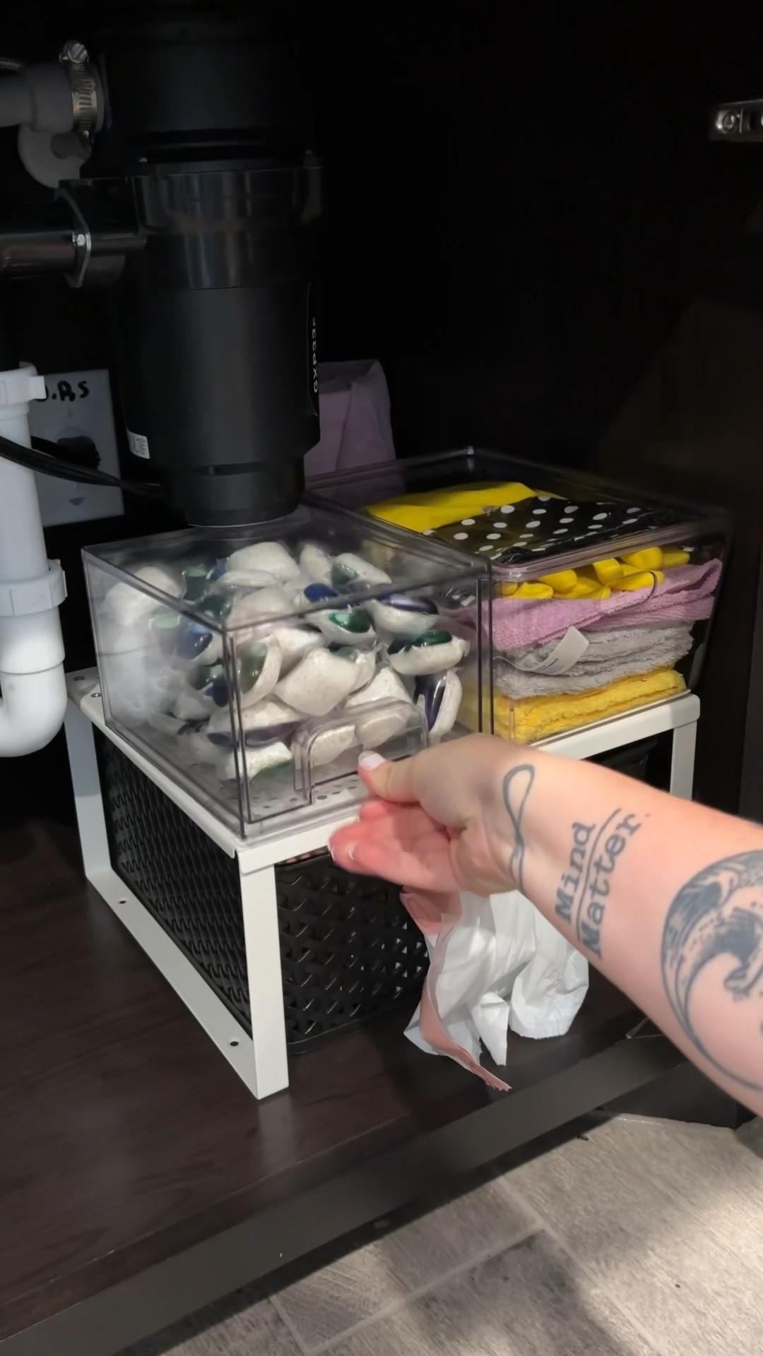 These are some of the best containers for organization! Super sturdy and fit so well underneath my sink! ✨

#LTKHome #LTKVideo