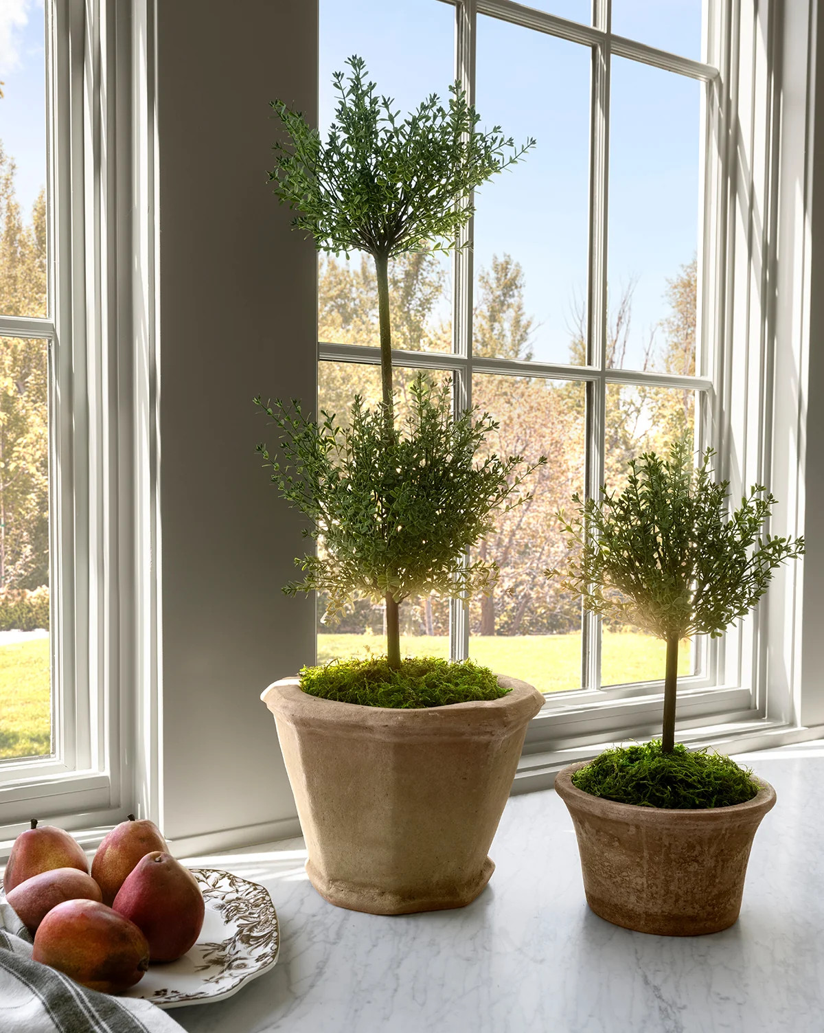 Faux Myrtle Topiary Drop-In | McGee & Co. (US)