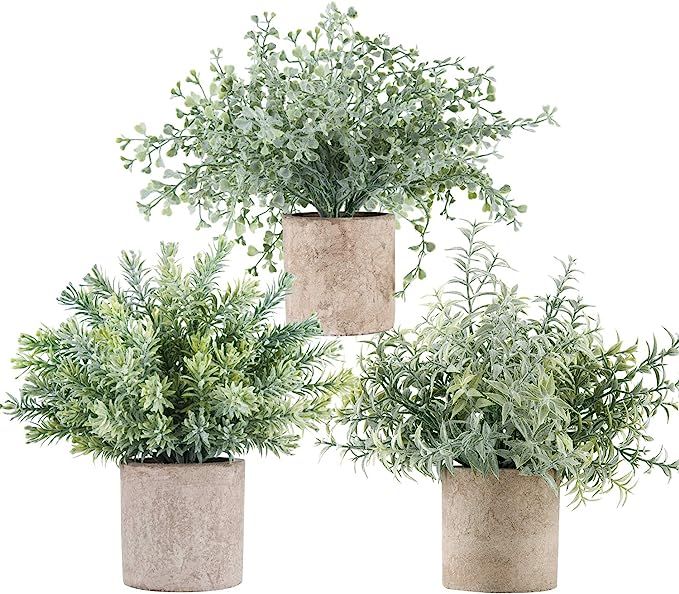 Der Rose 3 Pack Mini Potted Fake Plants Artificial Small Eucalyptus Plants for Home Office Desk R... | Amazon (US)
