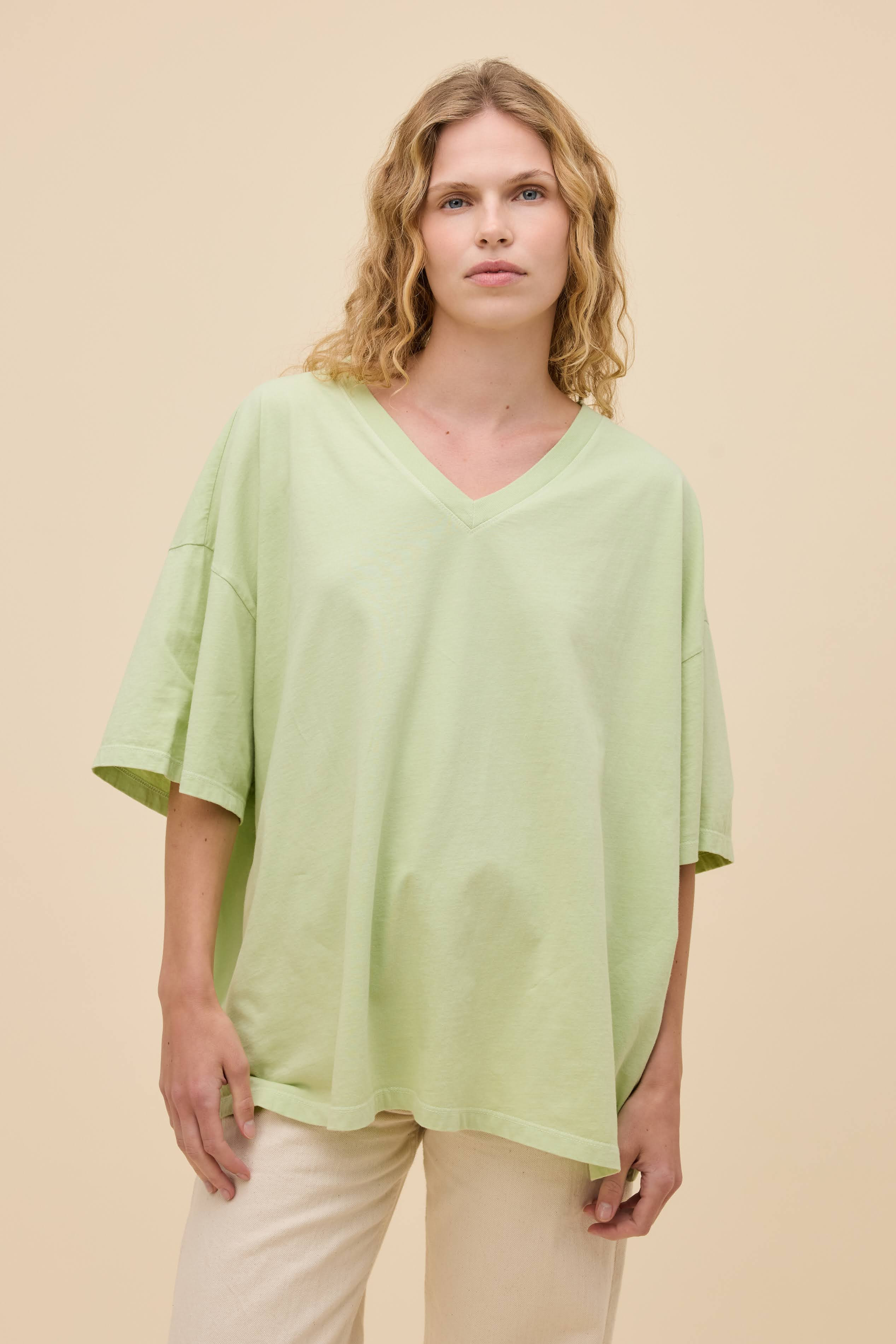 Solid OS V-Neck Tee | Daydreamer