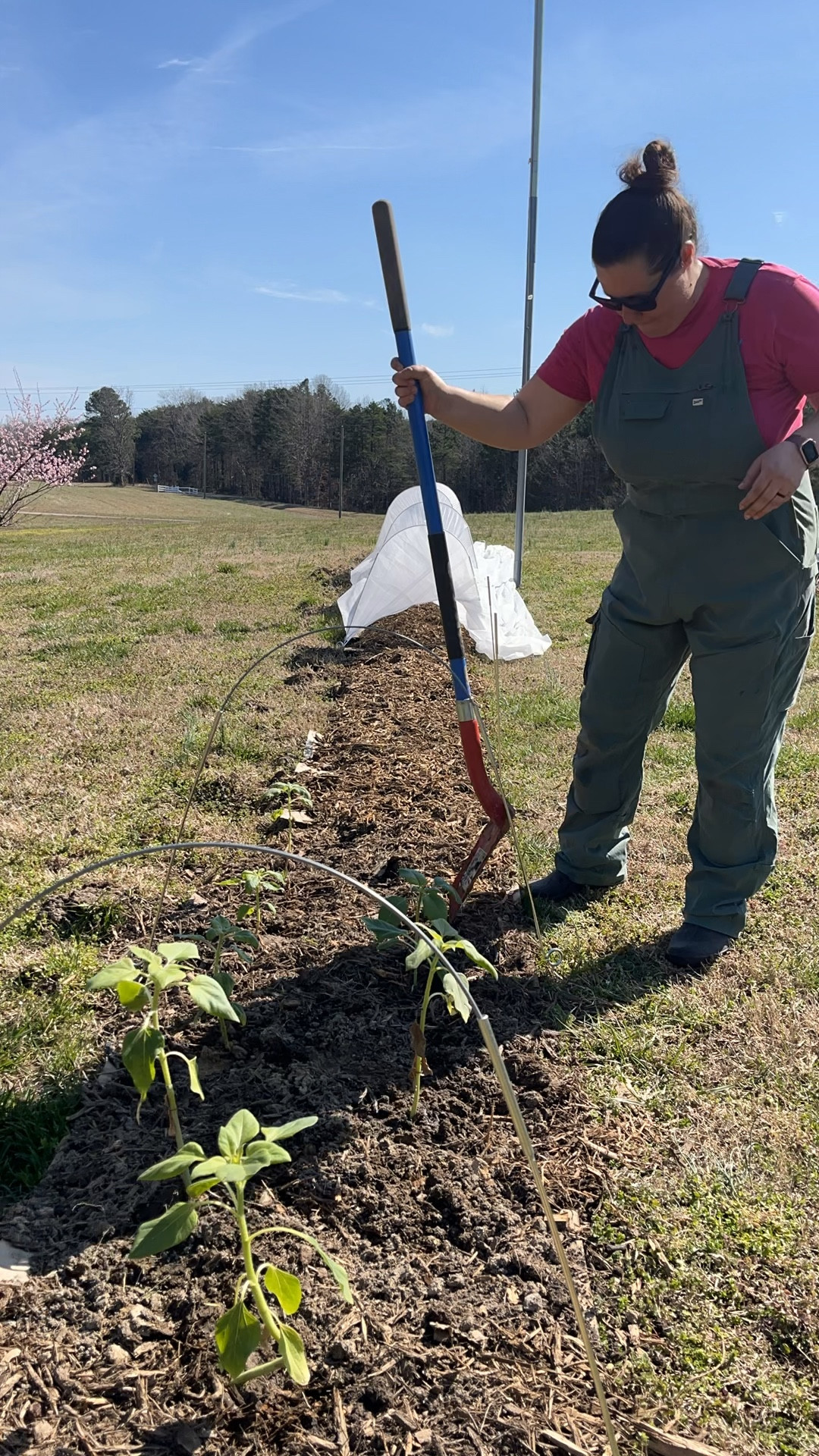 It's on sale! The Duluth gardening bib overalls are on sale just in time for gardening season! 

I typically wear a large and the bibs run true to size with a little extra room to go over top of your clothes. I love these overalls for their comfort and pockets! There are so many pockets!! 

#LTKhome #LTKSeasonal #LTKsalealert