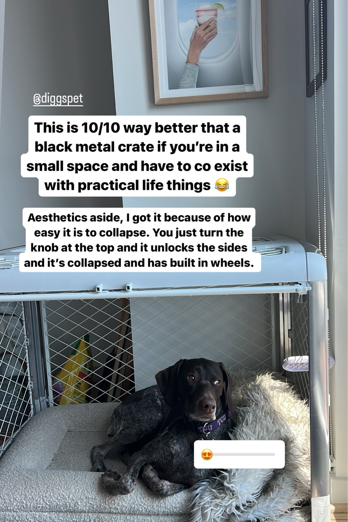 Diggs Dog crate This is 10/10 way better that a black metal crate if you’re in a small space and have to co exist with practical life things 😂 @diggspet  Aesthetics aside, I got it because of how easy it is to collapse. You just turn the knob at the top and it unlocks the sides and it’s collapsed and has built in wheels.

#LTKHome