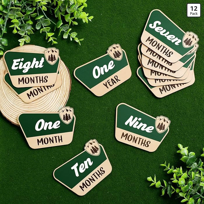 12 Pcs National Park Baby Monthly Photo Props Cards Rustic Wooden Baby Months Signs Adventure The... | Amazon (US)