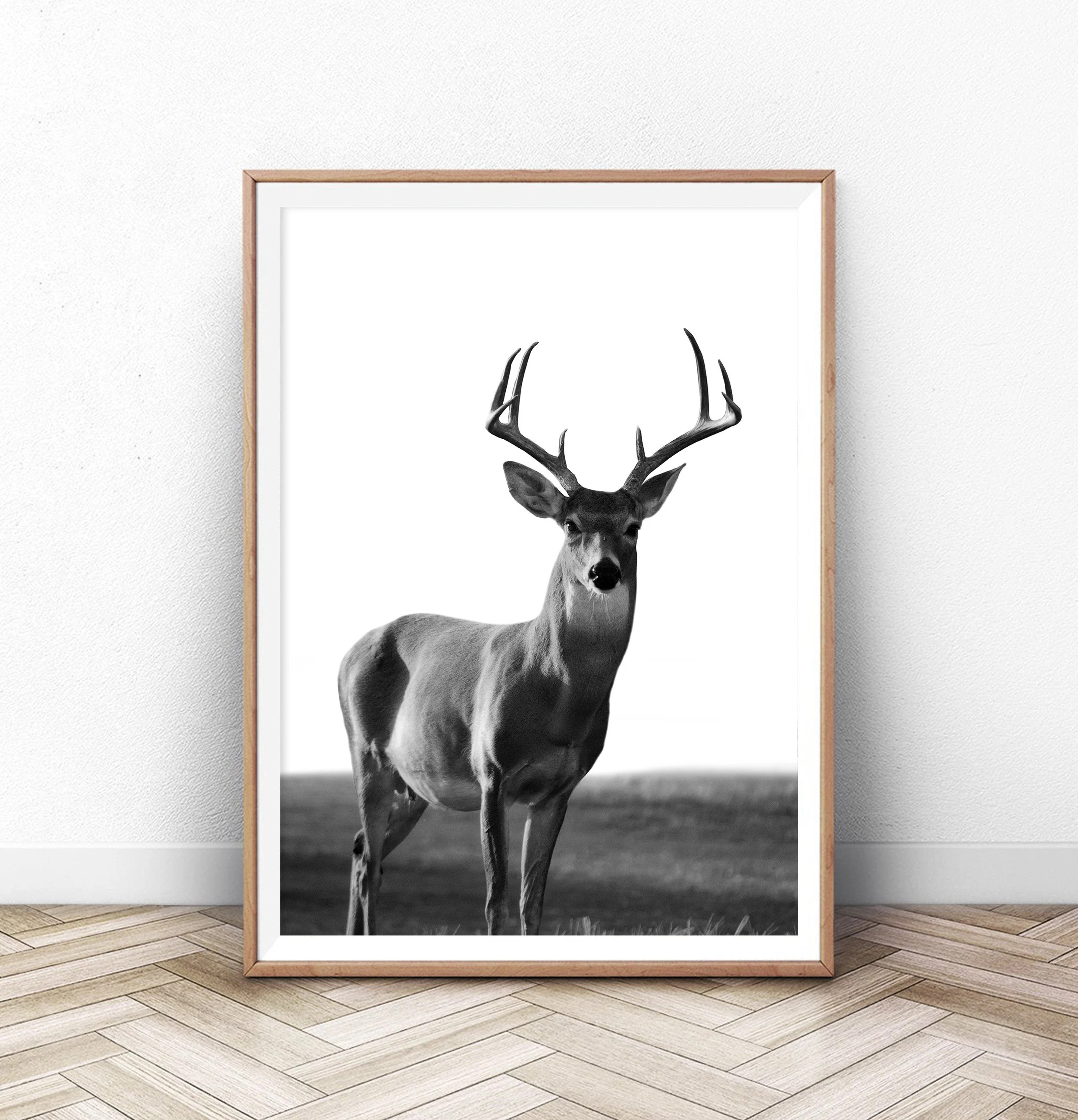 Deer Print, Black And White Wall Art, Stag Print, Poster, Wall Art, Wall Art Poster, Wall Decor, Printable Digital Download Art | Etsy (Global)