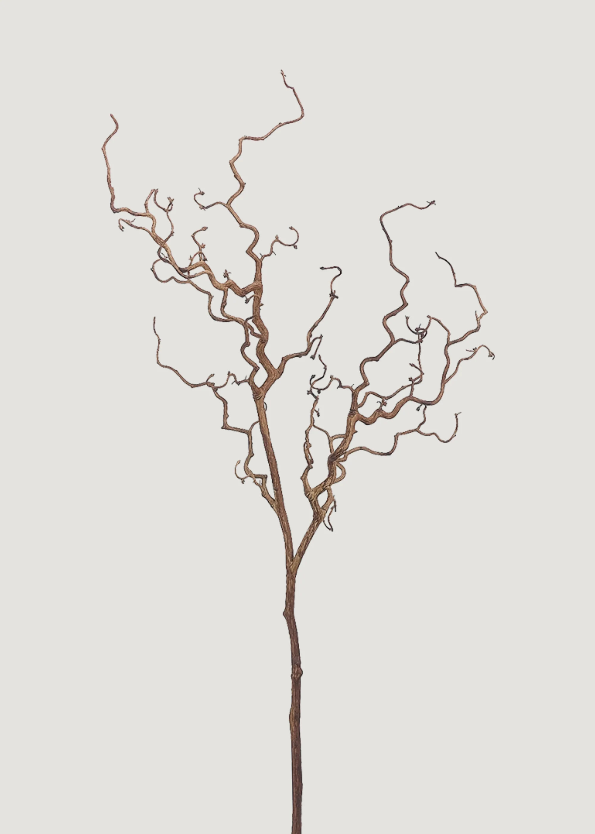 Dried Look Tall Branch | Nature-Inspired Faux Botanicals | Afloral | Afloral