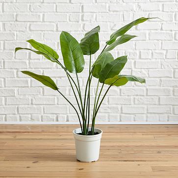 Faux Potted Bird of Paradise Plant Tree | West Elm (US)