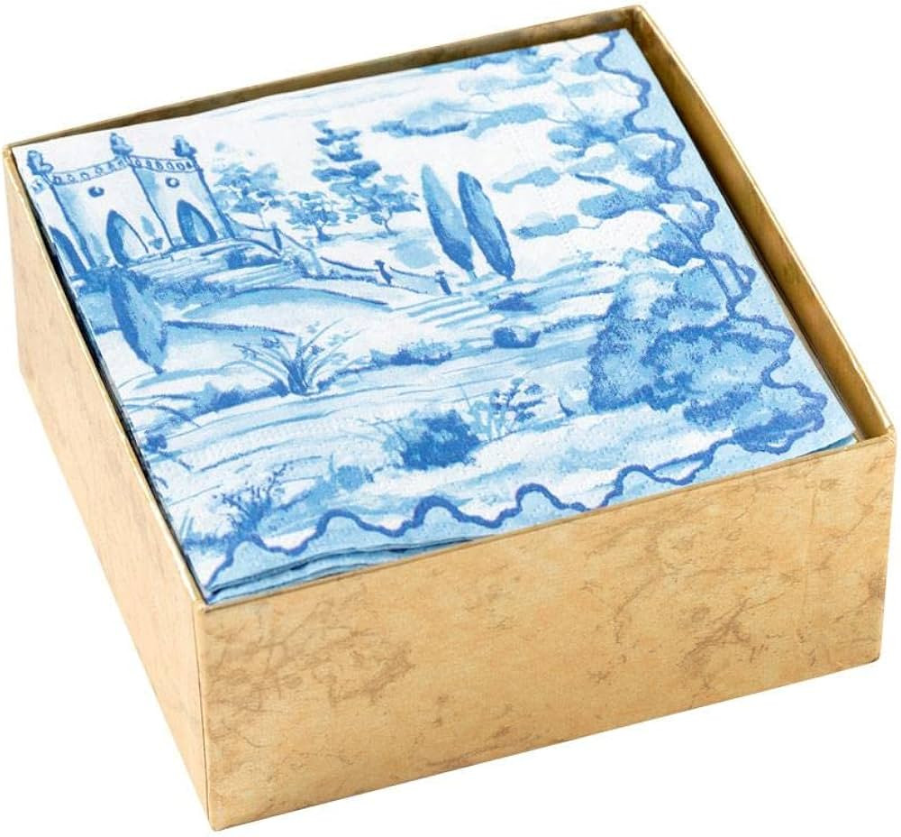 Caspari Tuscan Toile Boxed Paper Cocktail Napkins in Blue - 40 Per Box | Amazon (US)