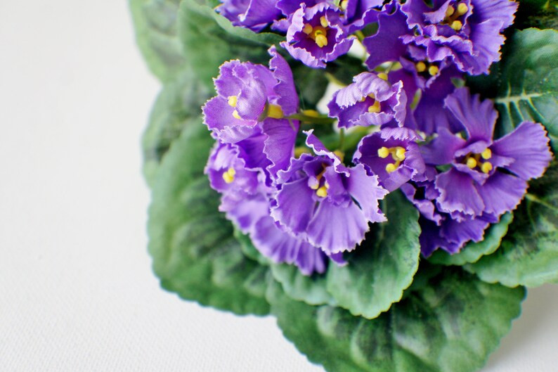 Shopping for your big day?
                
    
        Learn more
        
        
    
    
 ... | Etsy (US)