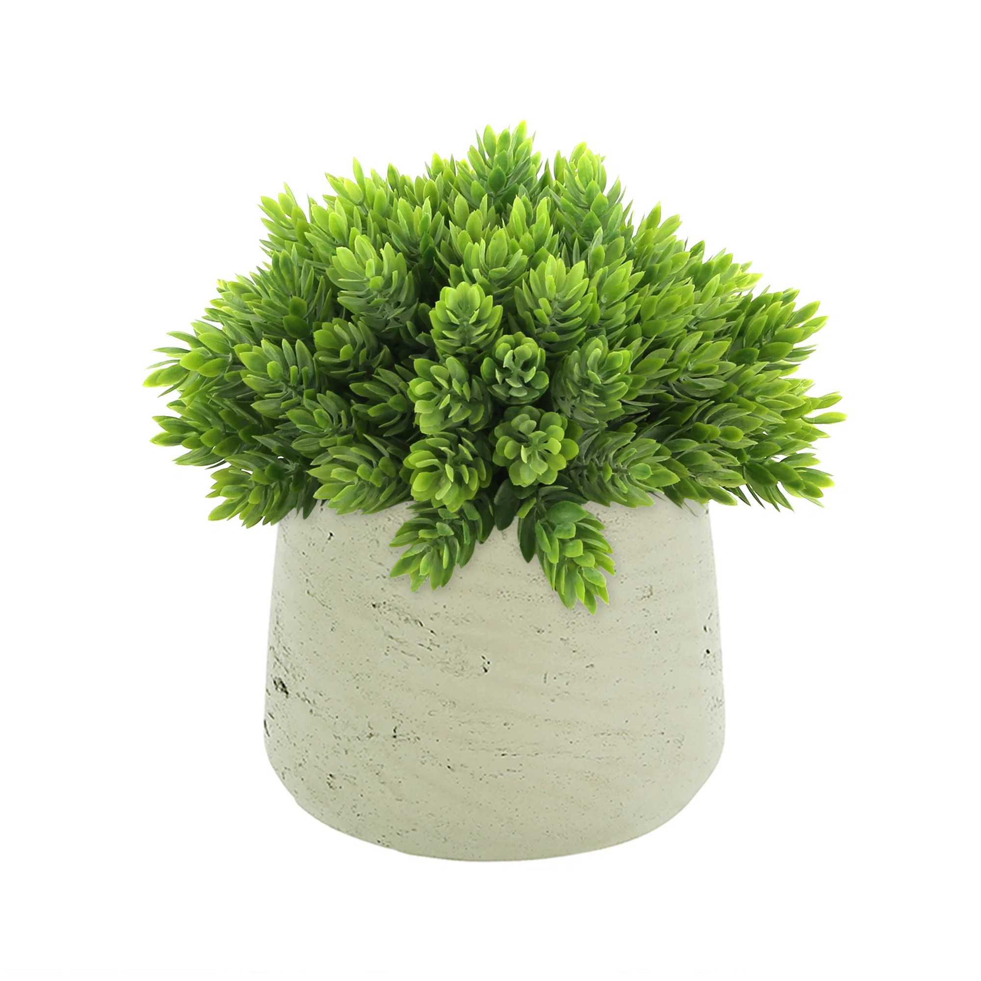 Faux Succulent Plant in Fiberstone Pot | Perigold