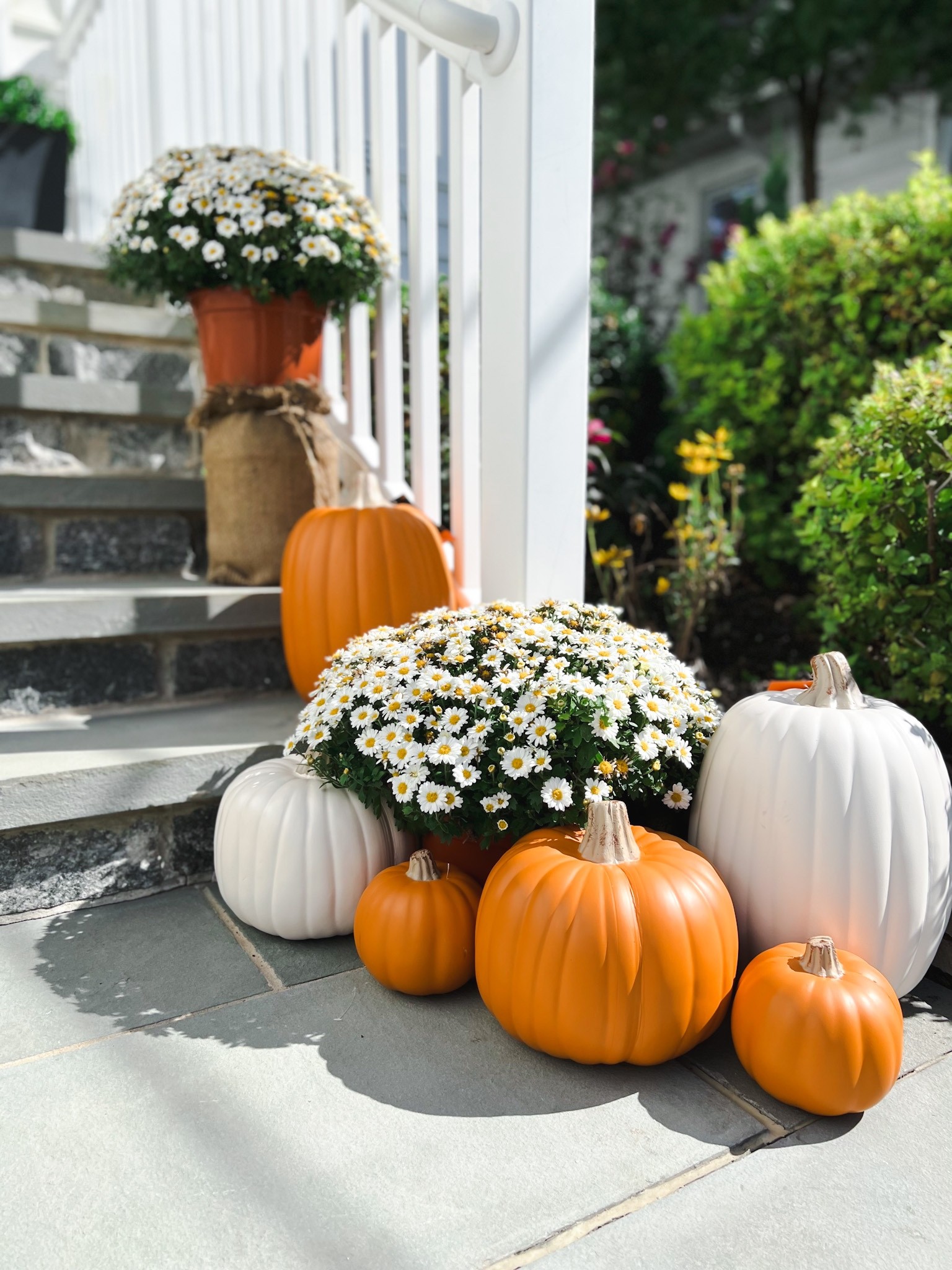 Faux pumpkins for the win!  Fall decor, outdoor decor, Halloween 
Shacket
Fall Decor
Fall family photos
Halloween
Fall outfits
Fall fashion
Jeans
Fall wedding guest
Boots
Fall wreath
Nursery
Maternity
Teacher
Kitchen
Belt Bag
Wedding
Travel
Concert Outfit
White dress
White jeans
Swimsuit
Sandals
Bedroom 
Beach outfit
Patio
Jean shorts


#LTKhome #LTKHalloween #LTKSeasonal