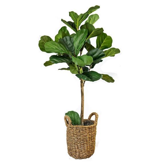 30" x 16" Artificial Fig in Basket with Handles - LCG Florals | Target