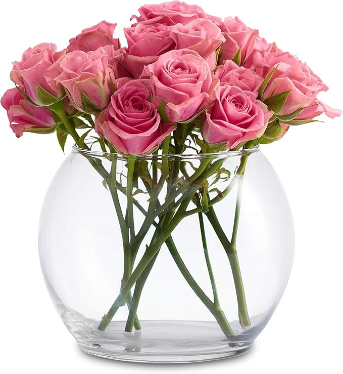 Libbey Footed Bubble Ball, 4-inch, Set of 12 | Amazon (US)