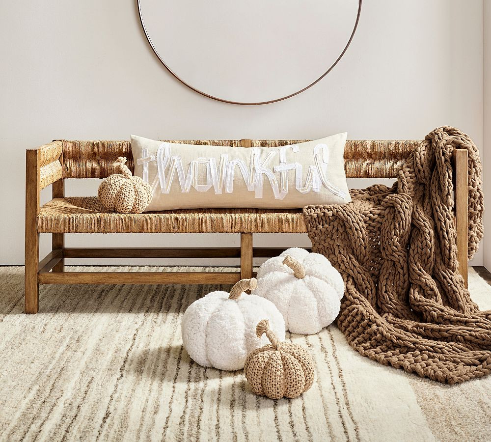 Cozy Pumpkin Pillow | Pottery Barn (US)