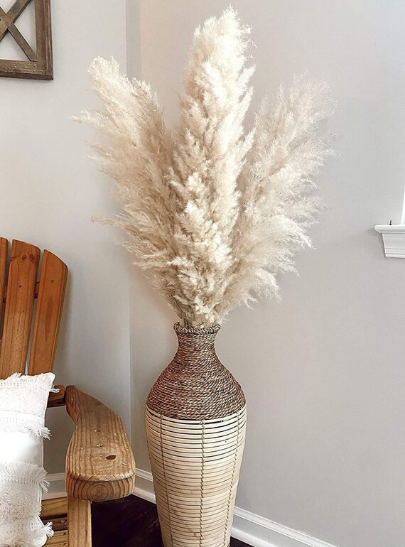 5 Large 4ft Tall Fluffy Natural Dried Pampas Grass; Trending Decor- Home, Shower, Wedding, Farmho... | Etsy (US)