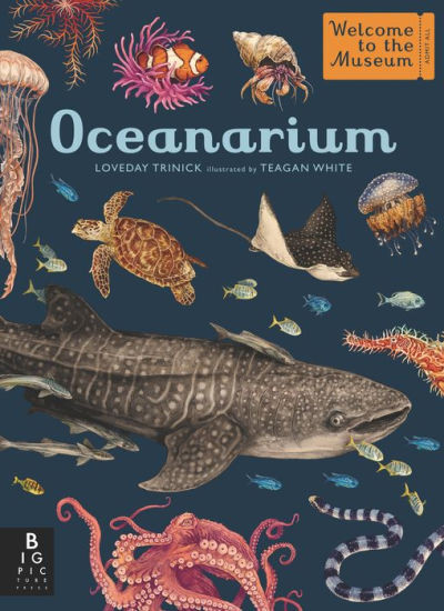Oceanarium: Welcome to the Museum | Barnes & Noble