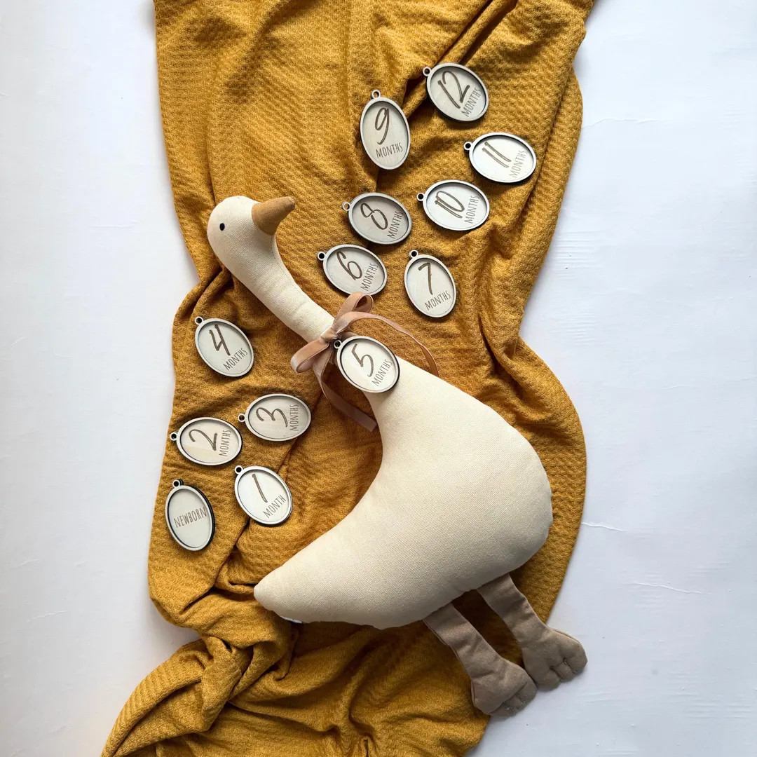 Baby Milestone Marker Boy and Girl Growth Tracker Plush Animal Toy Newborn Photoshoot Prop Goose ... | Etsy (US)