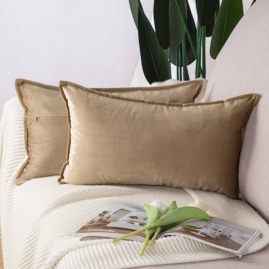 MADIZZ Set of 2 Super Soft Velvet Decorative Throw Pillow Amazon Home Decor Finds Amazon Favorites | Amazon (US)