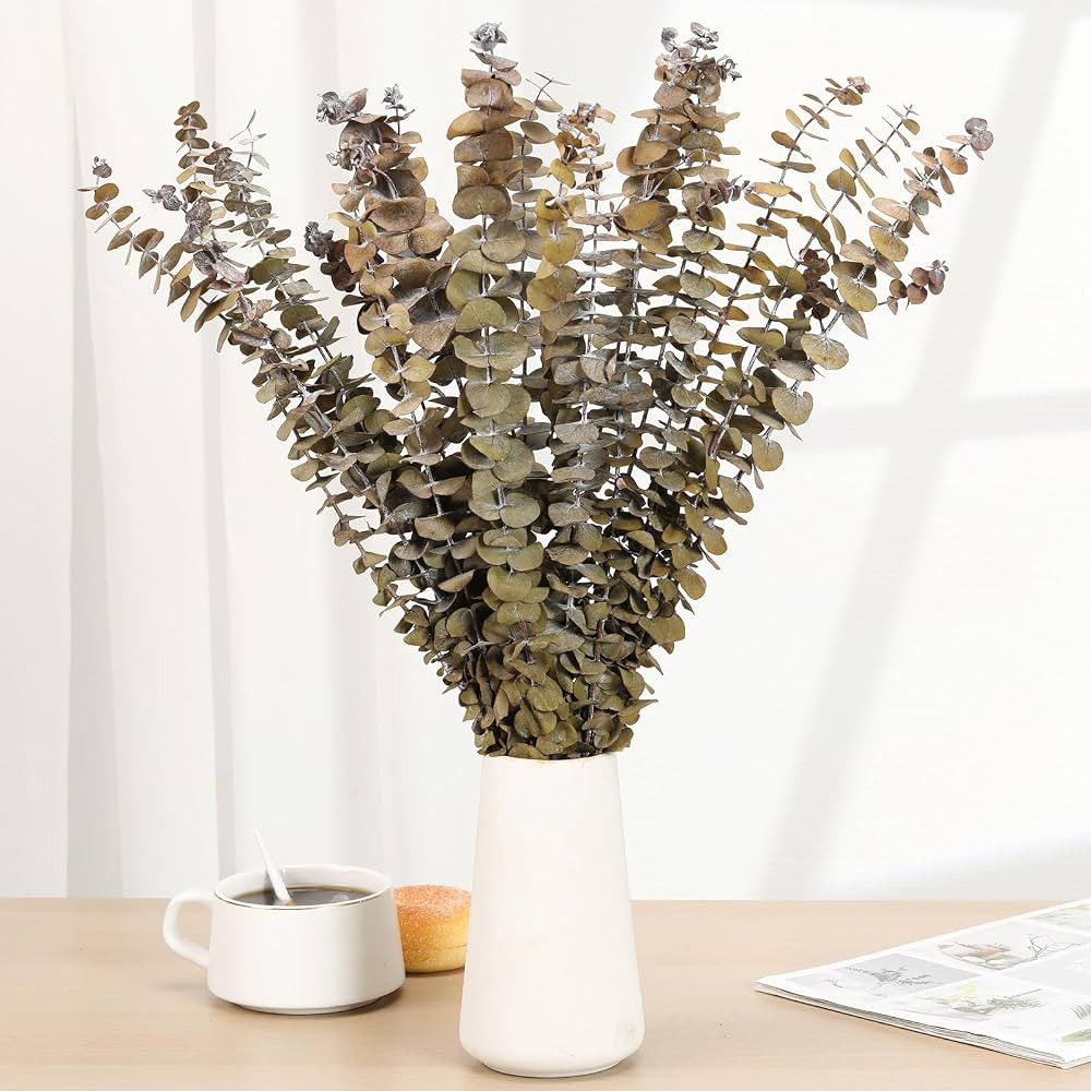 16 tallos de eucalipto secos, ramas de hojas de eucalipto frescas naturales de 17 pulgadas, ramas... | Amazon (US)