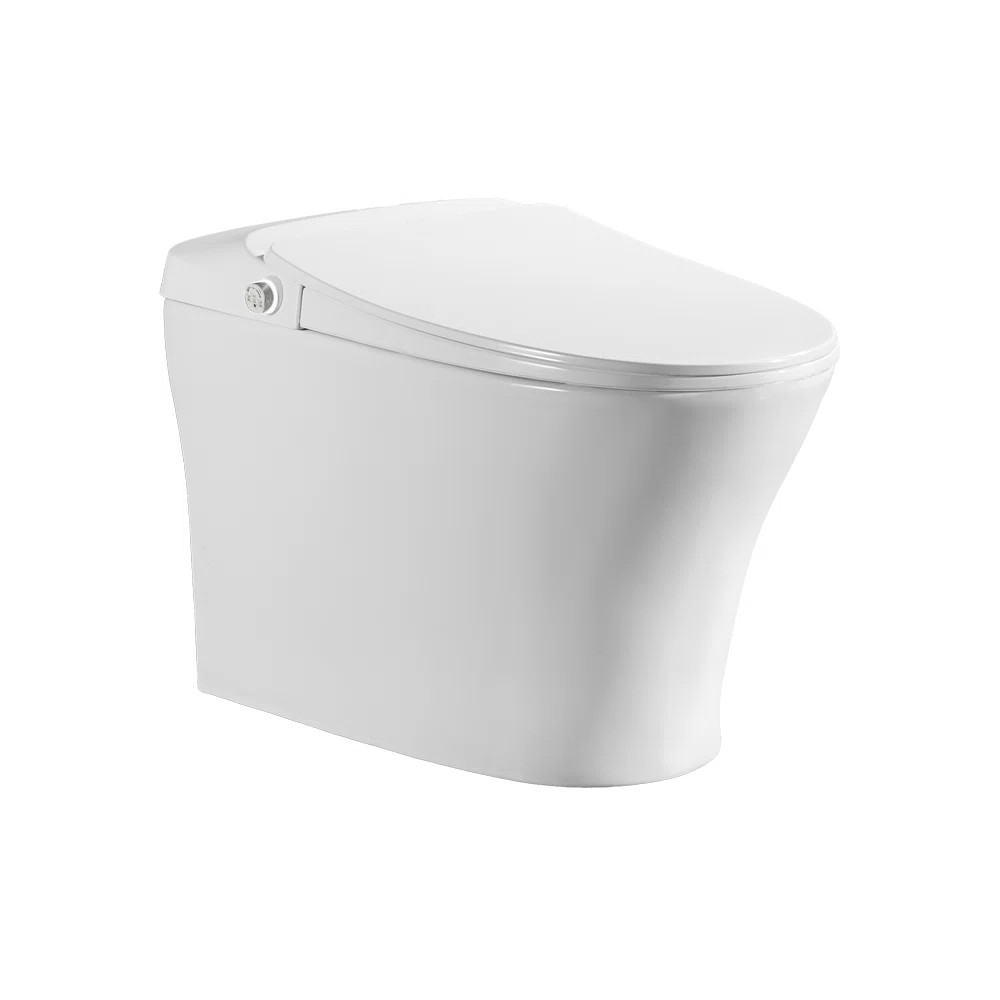 iWASH CS-18 Integrated Bidet Toilet (includes seat and bowl) CS-18.01 | Wayfair North America