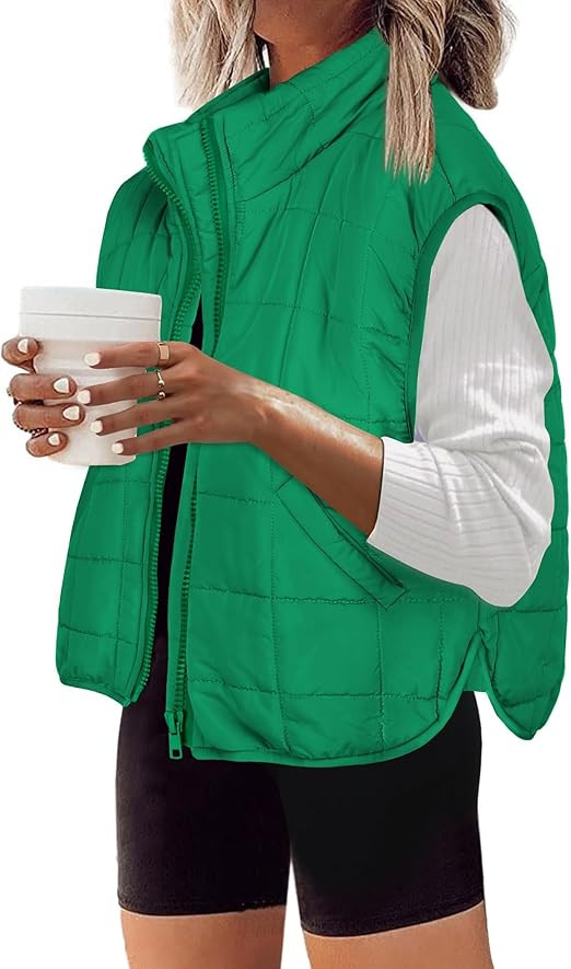 Zeagoo Womens Puffer Vest Ladies Sleeveless Zip Up Outerwear Warm Puffer Lightweight Down all Win... | Amazon (US)