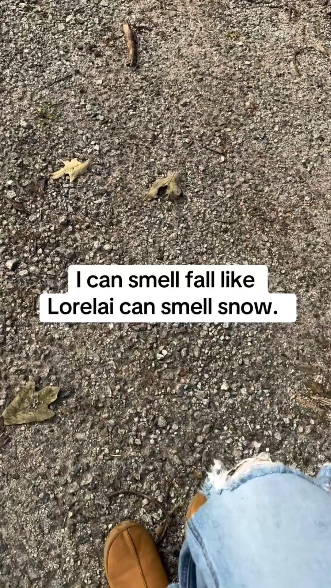 & I can feel it in the air this morning, which makes me ready to pull out the pumpkin everything. 🍂

My husband, who works outside when it’s 90° mid-afternoon, insists it’s definitely not fall yet. But I’m choosing to trust the vibes and my uggs. ☕️ Who is with me?