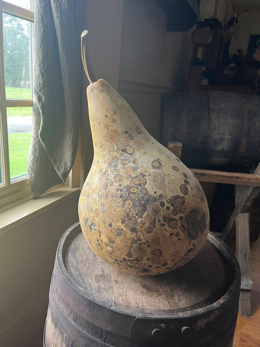 Primitive Dried Large Gourd primitive Needful fall Gourd grubby Gourd - Etsy | Etsy (US)