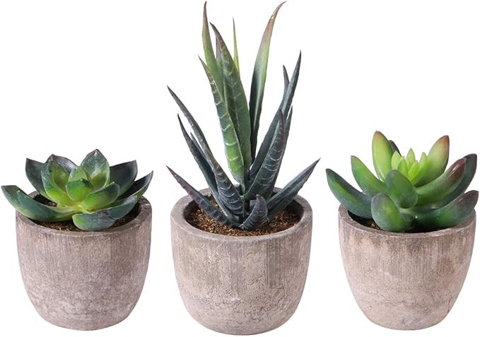 OUNONA 3pcs Faux Succulents/Artificial Cactus/Simulation Cacti Potted Plants Home Bonsai Decor Ga... | Amazon (US)