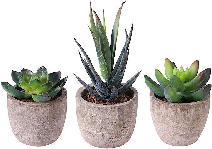 OUNONA 3pcs Faux Succulents/Artificial Cactus/Simulation Cacti Potted Plants Home Bonsai Decor Ga... | Amazon (US)