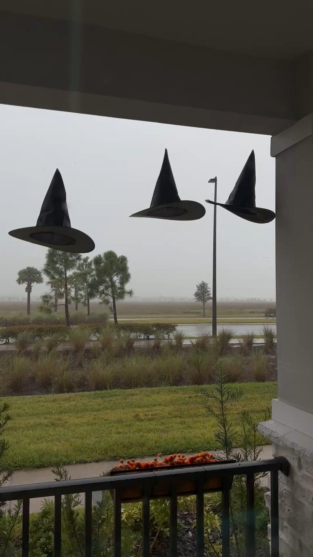 Halloween Hanging Witch Hats 

#LTKHalloween #LTKHome